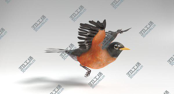 images/goods_img/20210312/3D Robin Animated/4.jpg